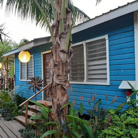 The Funky Dodo Backpackers Hostel Хопкинс Экстерьер фото