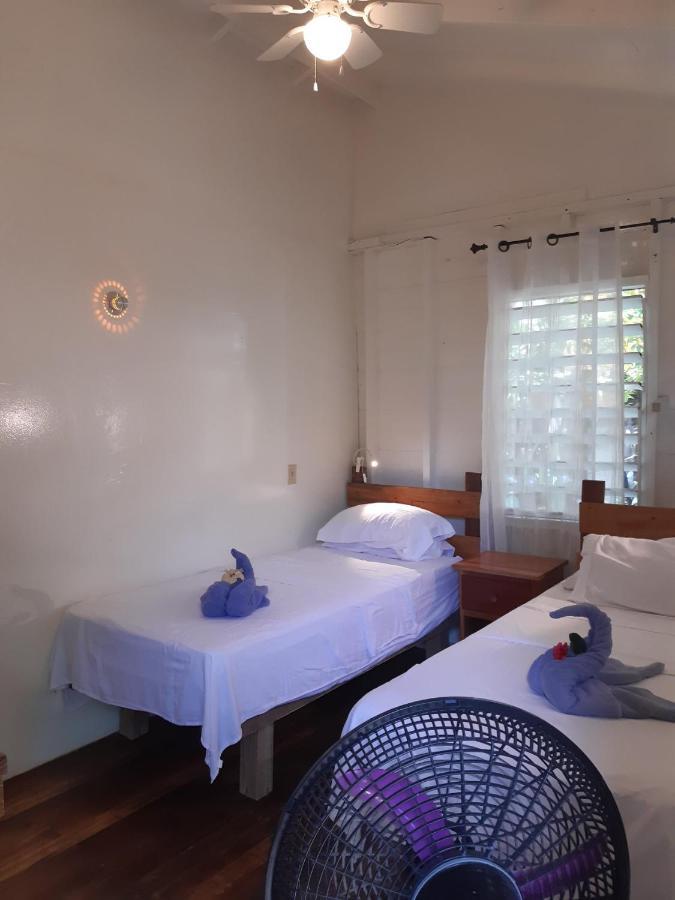 The Funky Dodo Backpackers Hostel Хопкинс Экстерьер фото