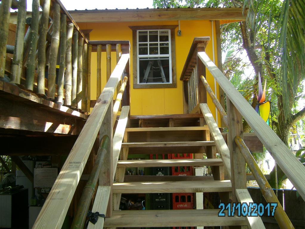 The Funky Dodo Backpackers Hostel Хопкинс Экстерьер фото