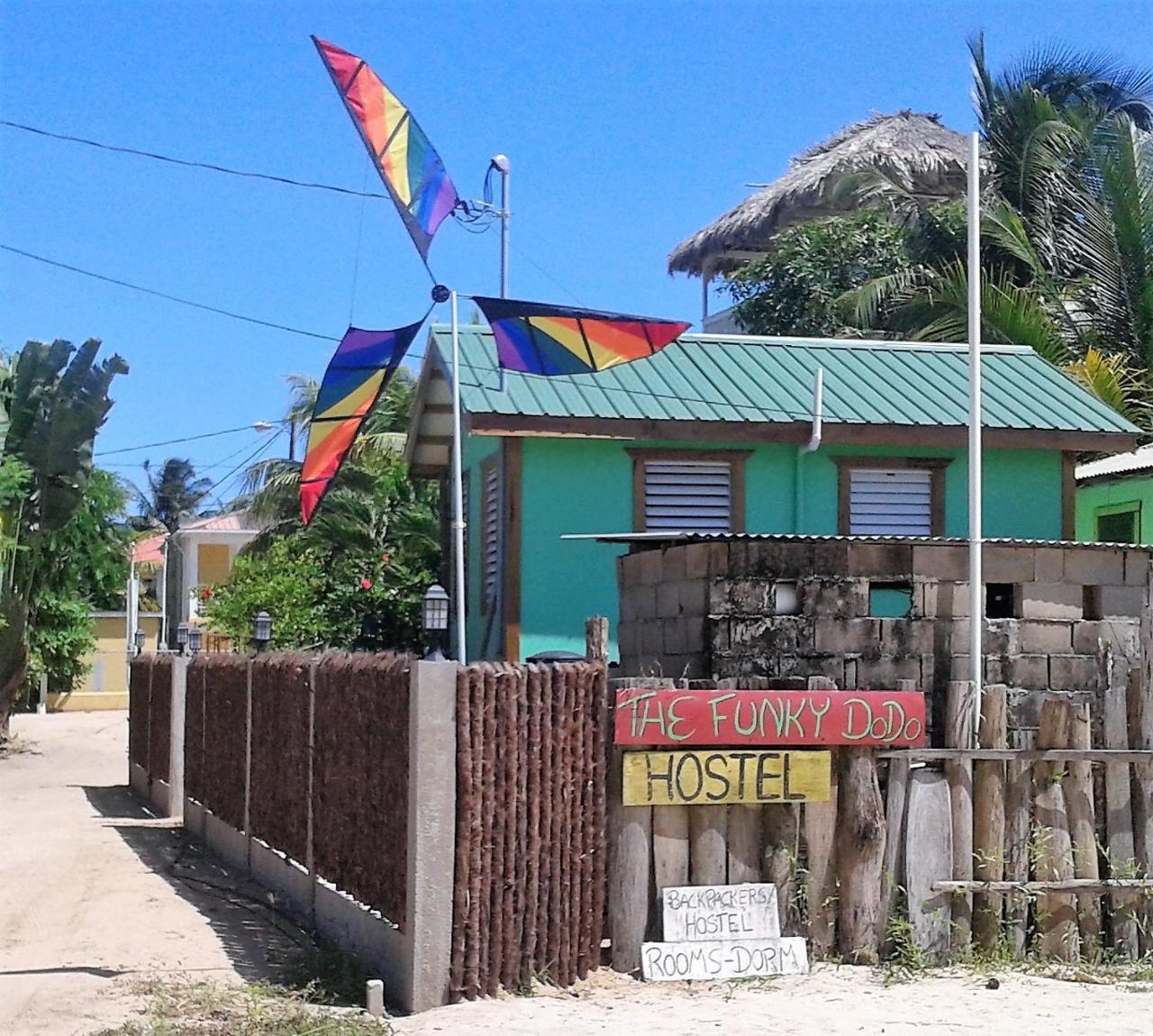 The Funky Dodo Backpackers Hostel Хопкинс Экстерьер фото