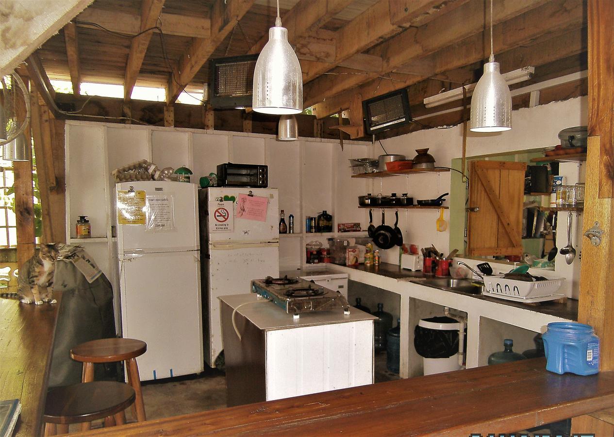 The Funky Dodo Backpackers Hostel Хопкинс Экстерьер фото