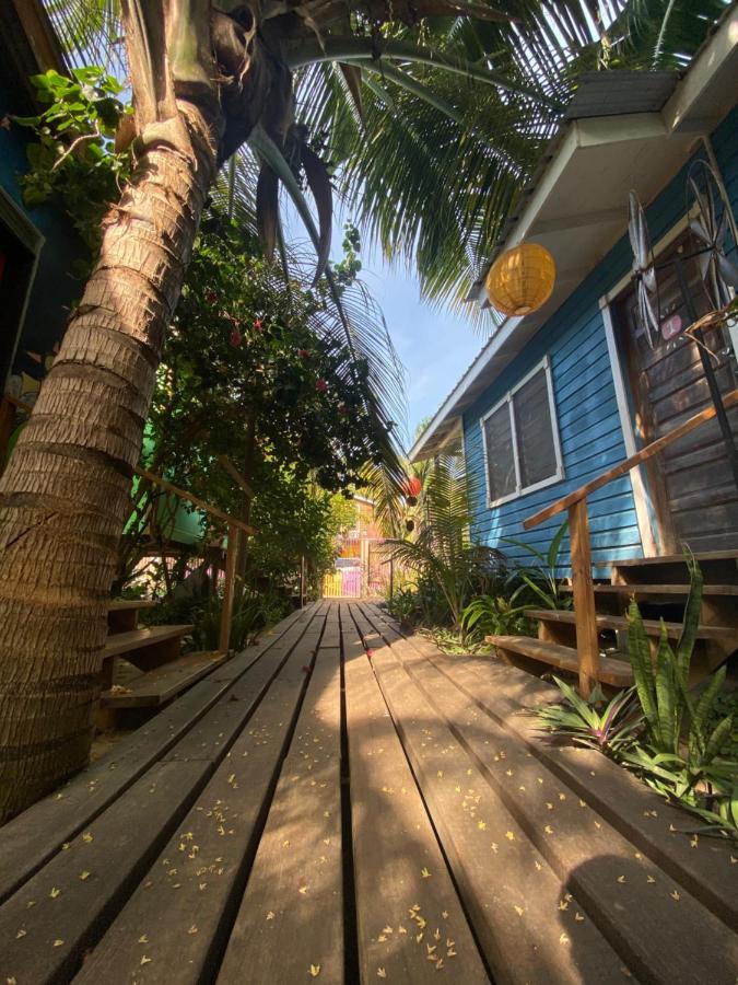 The Funky Dodo Backpackers Hostel Хопкинс Экстерьер фото