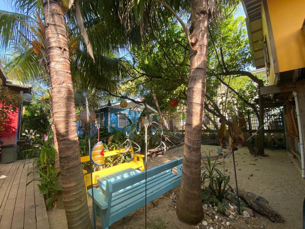 The Funky Dodo Backpackers Hostel Хопкинс Экстерьер фото
