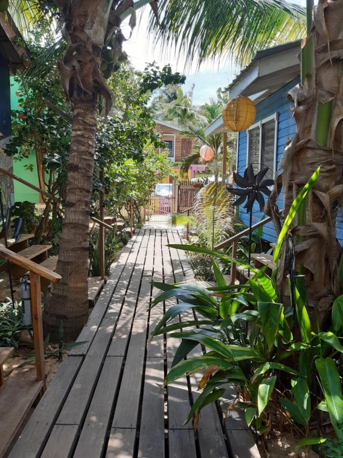 The Funky Dodo Backpackers Hostel Хопкинс Экстерьер фото