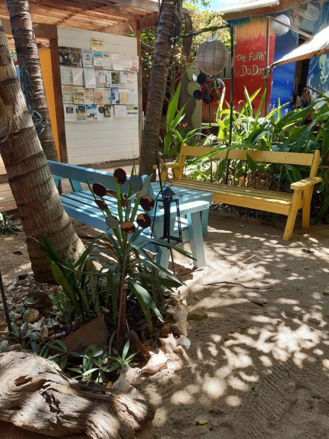 The Funky Dodo Backpackers Hostel Хопкинс Экстерьер фото