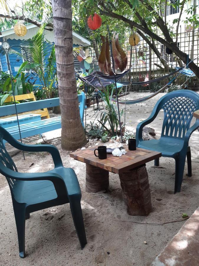 The Funky Dodo Backpackers Hostel Хопкинс Экстерьер фото